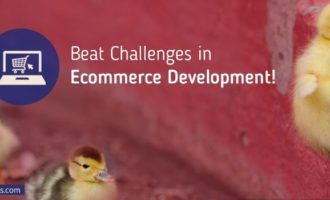 How to Beat the Challenges with Ecommerce Website Development