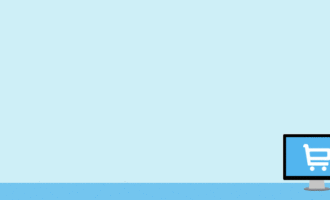 Ecommerce Development